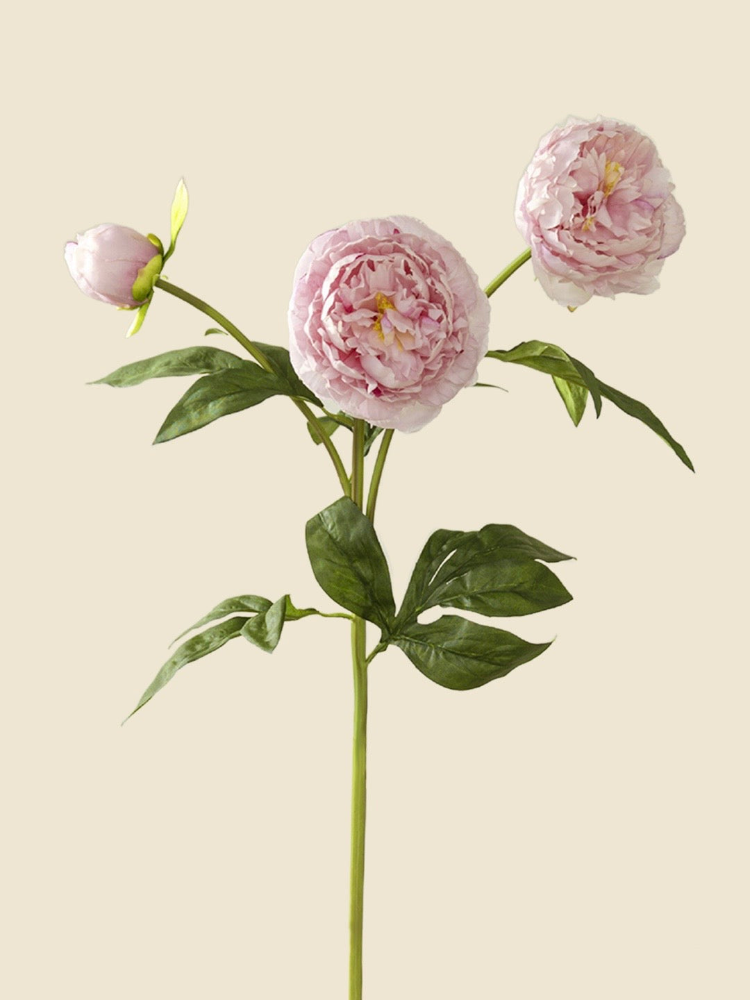 3-HEAD PEONIES -ROUGE PINK|75"