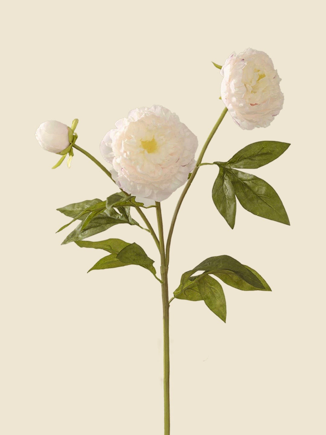 3-HEAD PEONIES-BABY PINK|75"