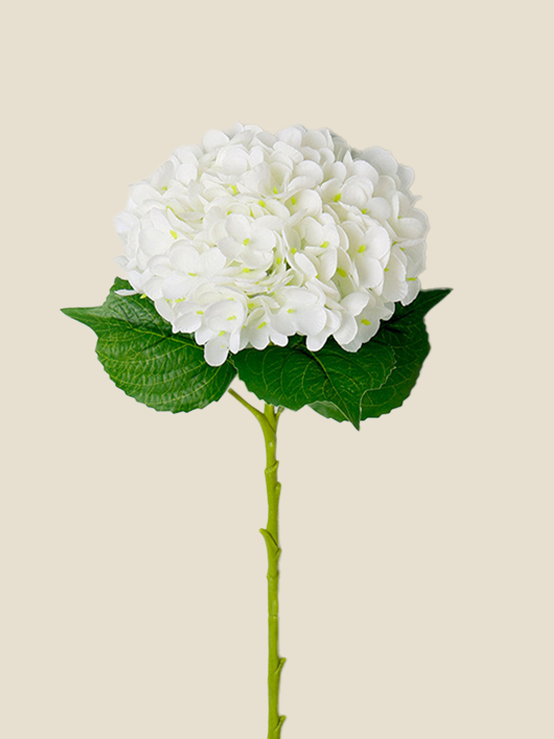 REAL TOUCH HYDRANGEA-PEARL WHITE|53"