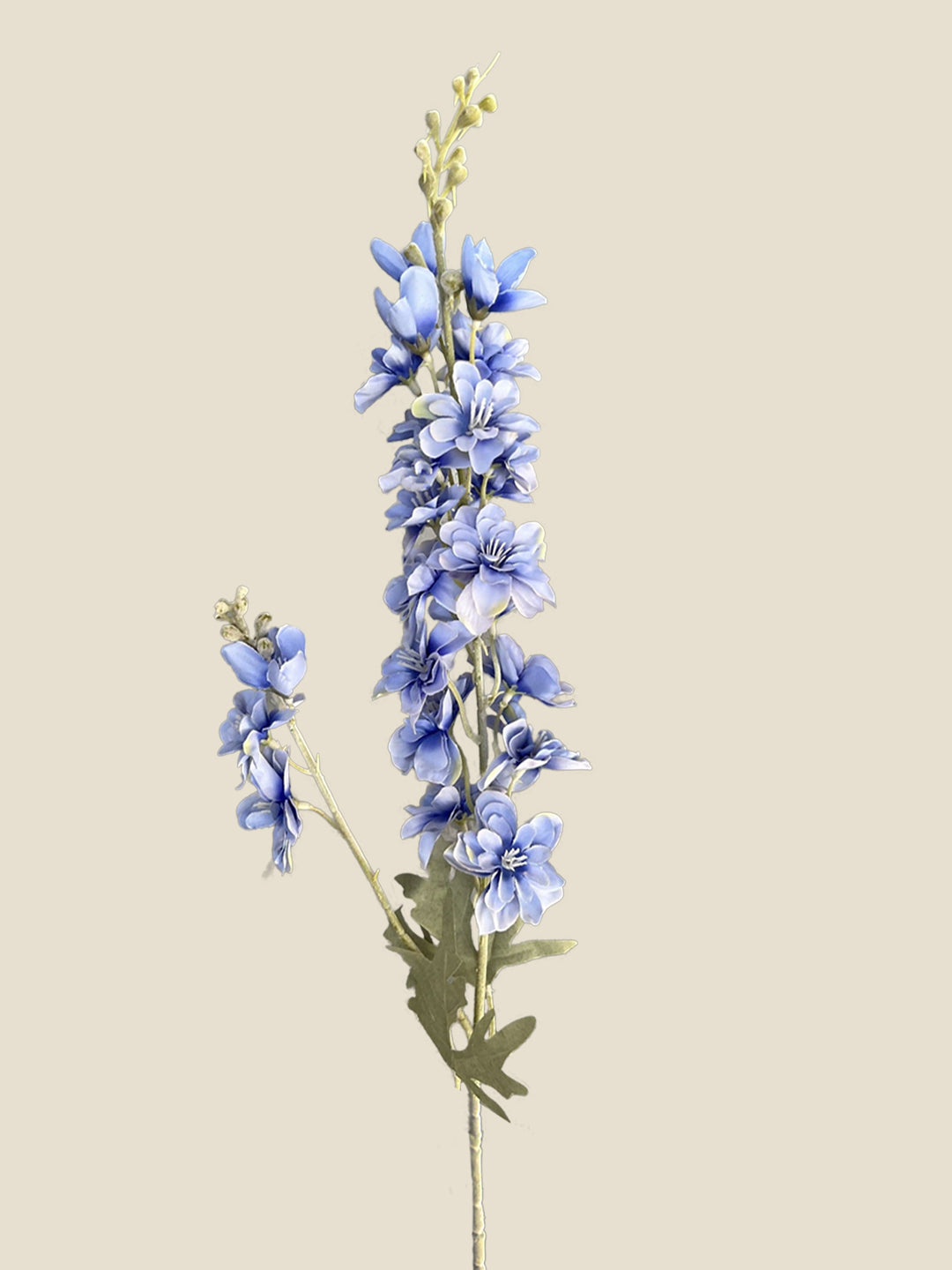 2-PRONG DELPHINIUM-BLUE|86"