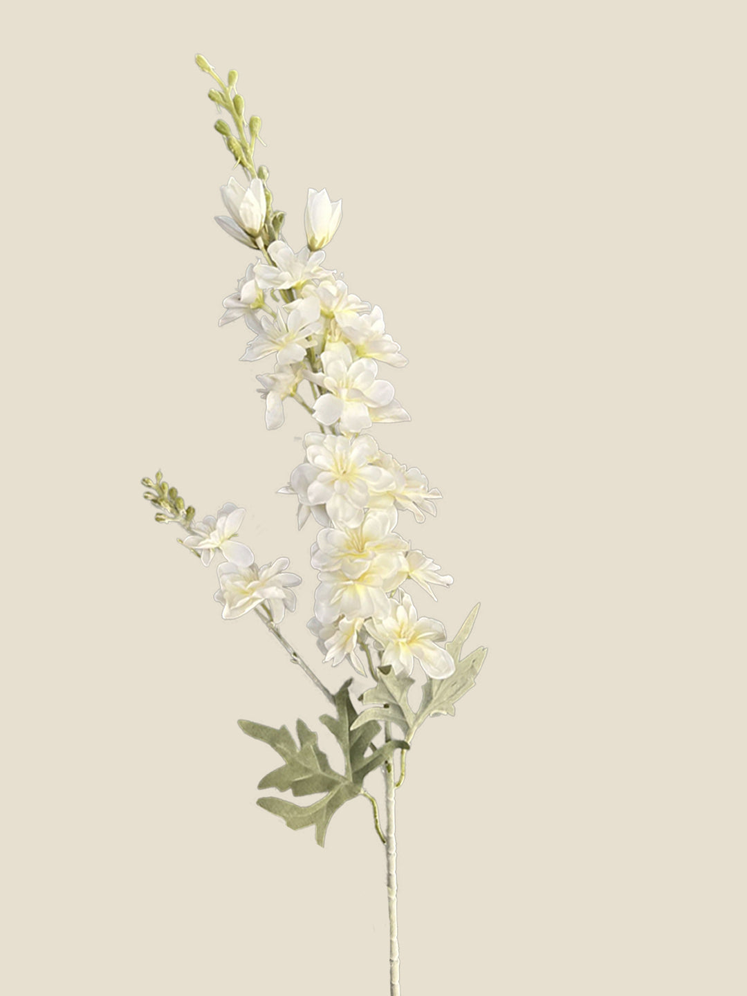 2-PRONG DELPHINIUM-MILKY WHITE|86"