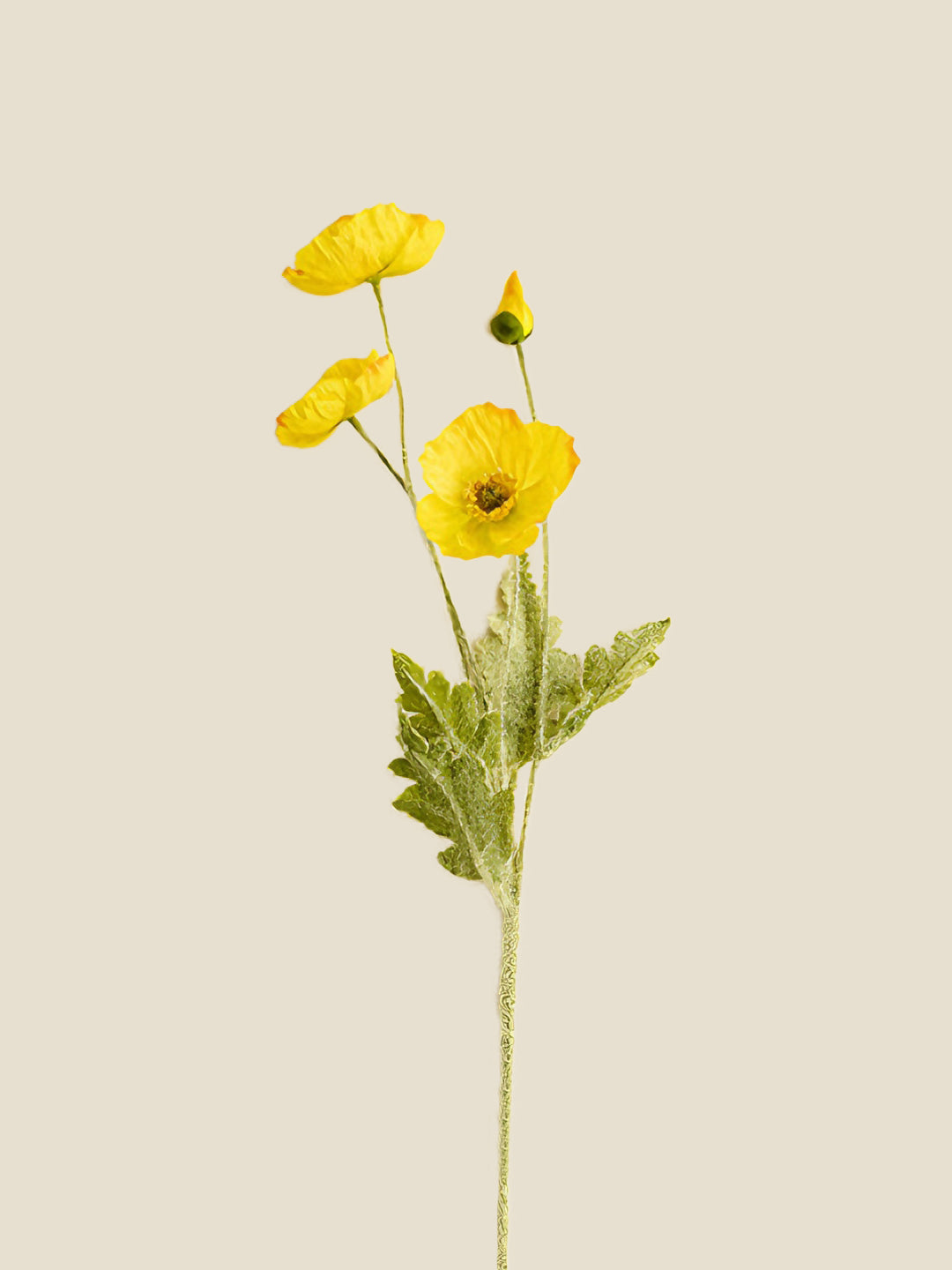 PAPAVER RHOEAS-YELLOW|56"