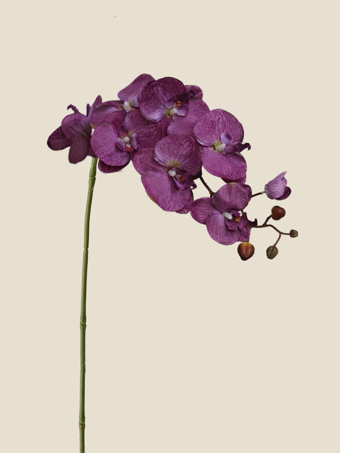 9-HEAD PHALAENOPSIS ORCHID-MIDNIGHT PURPLE|85"