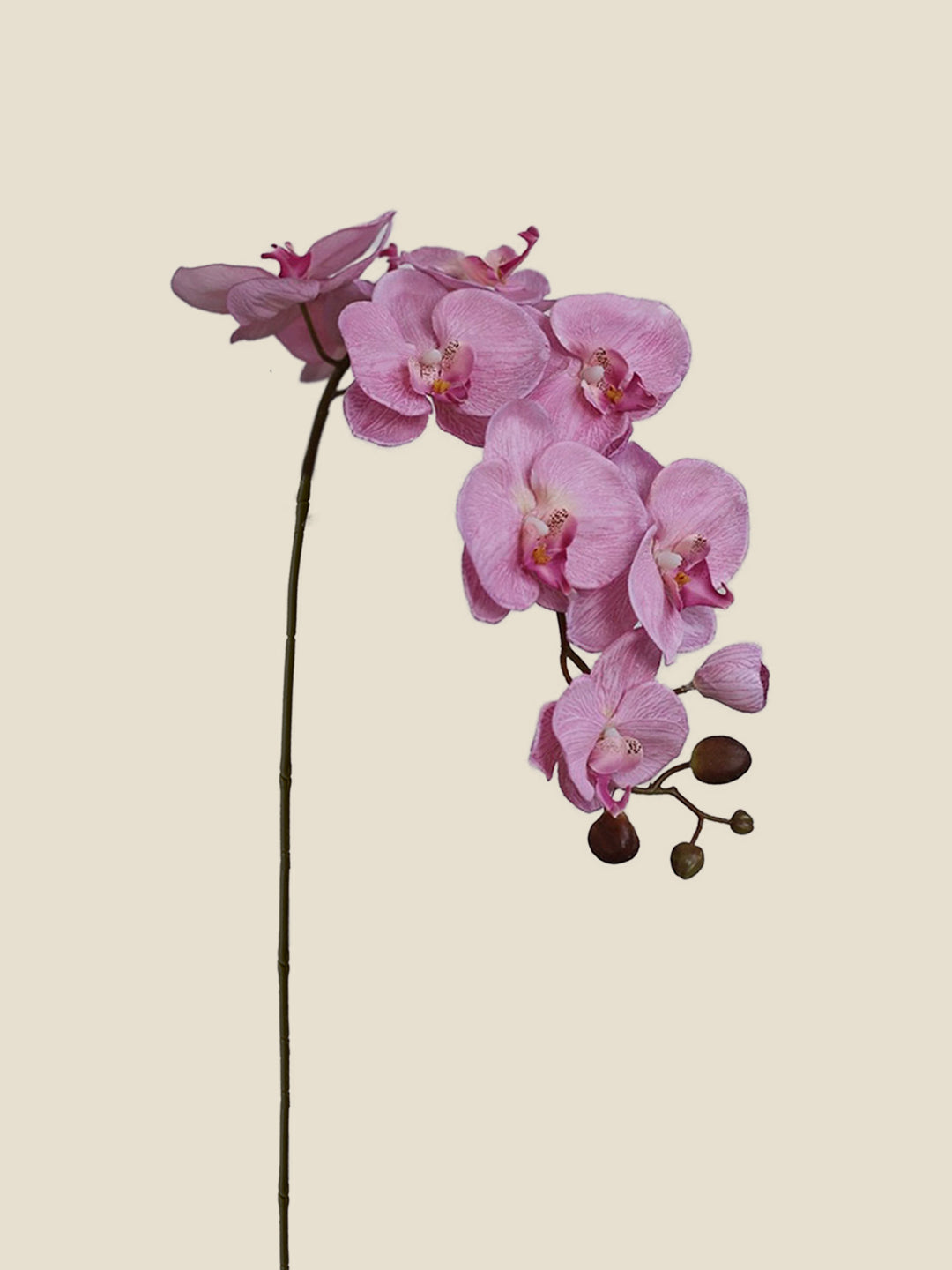 9-HEAD PHALAENOPSIS ORCHID-WARM PINK|85"